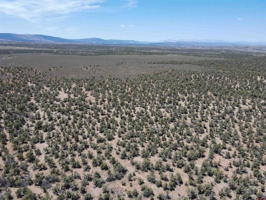 TBD HIGHWAY 141 HIGHWAY, REDVALE, CO 81431 - Image b7bb9909d20bb2e03ce2603b842ee5b7/3620340880