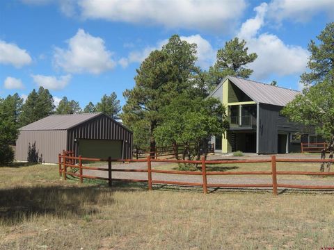 777 Buttress Avenue Pagosa Springs CO 81147