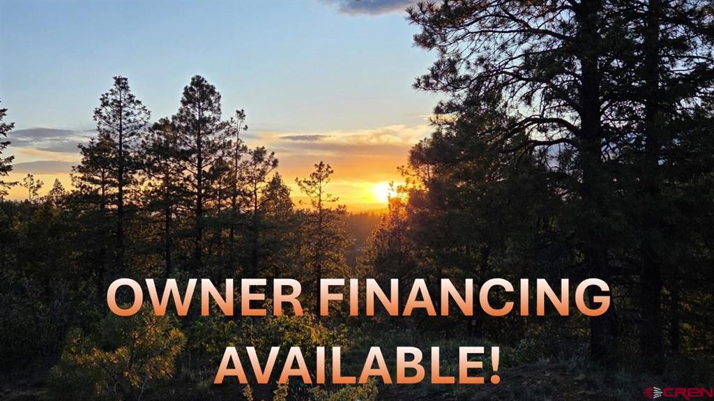 Photo 1 of 34 — 157 Carey's Court, Pagosa Springs, CO 81147