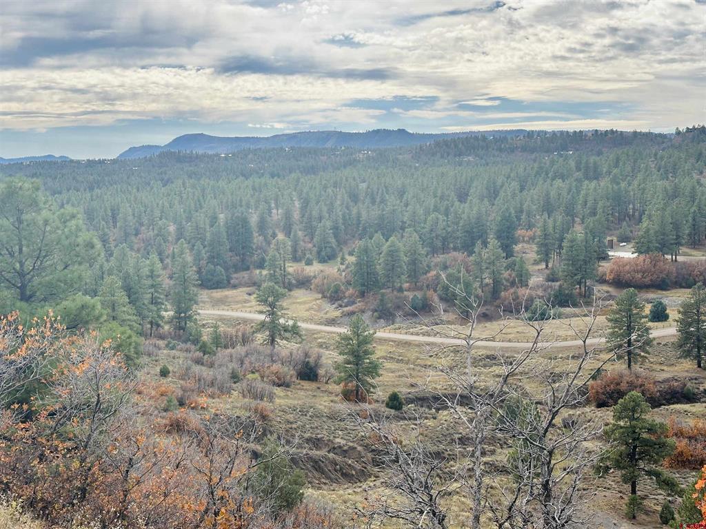 Photo 1 of 30 — 633 E McCabe Street, Pagosa Springs, CO 81147