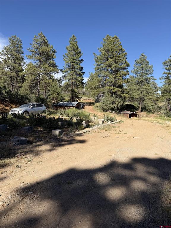 950 Deer Trial Road - Photo 3