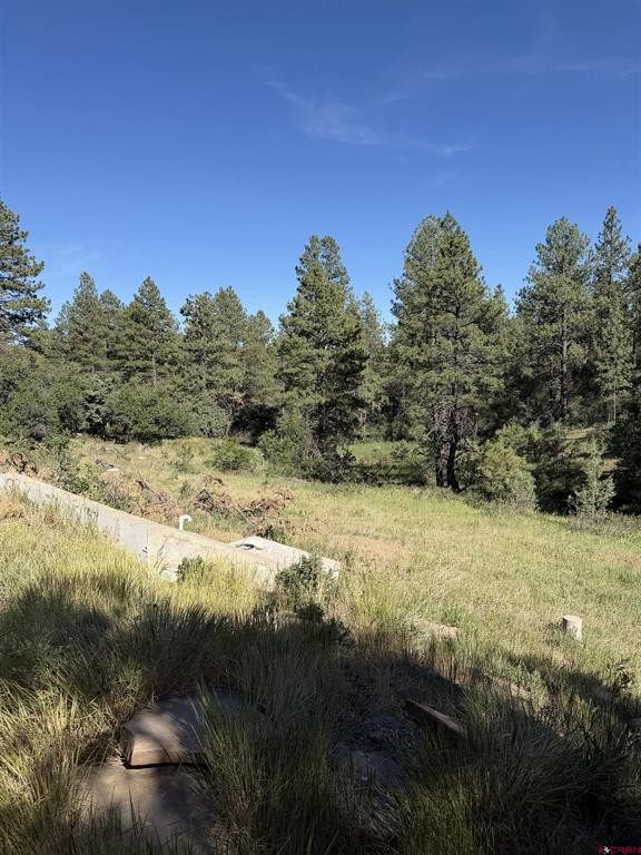 950 Deer Trial Road - Photo 4