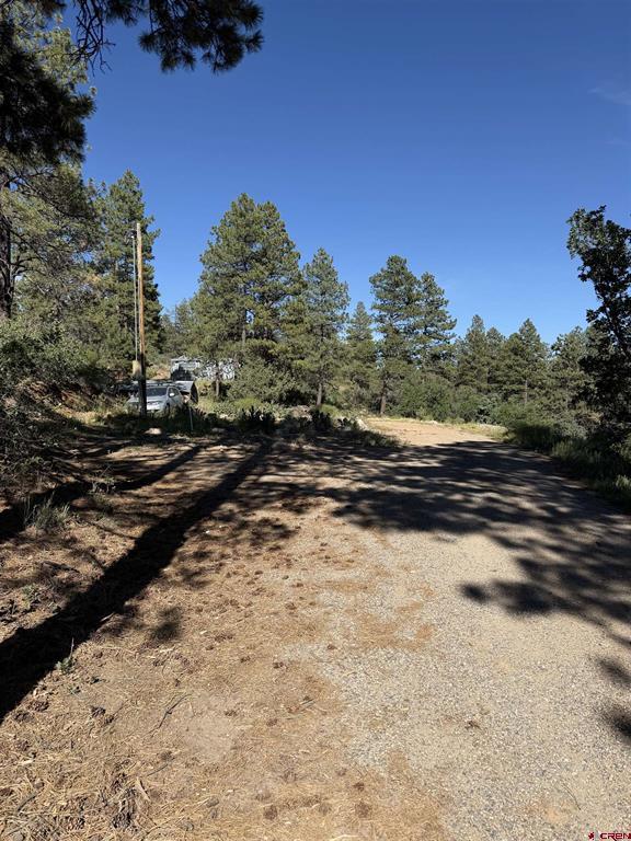 950 Deer Trial Road - Photo 2