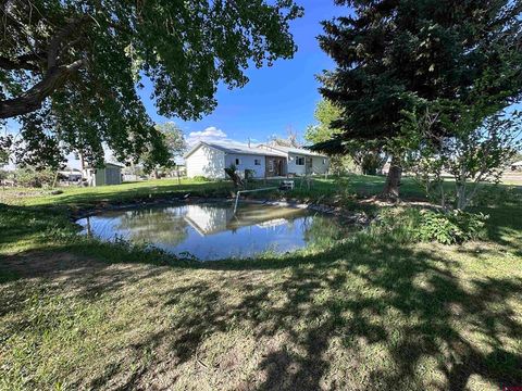 1885 Nichols Way Montrose CO 81401