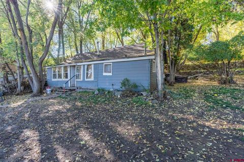 2977 E 2nd Avenue Durango CO 81301