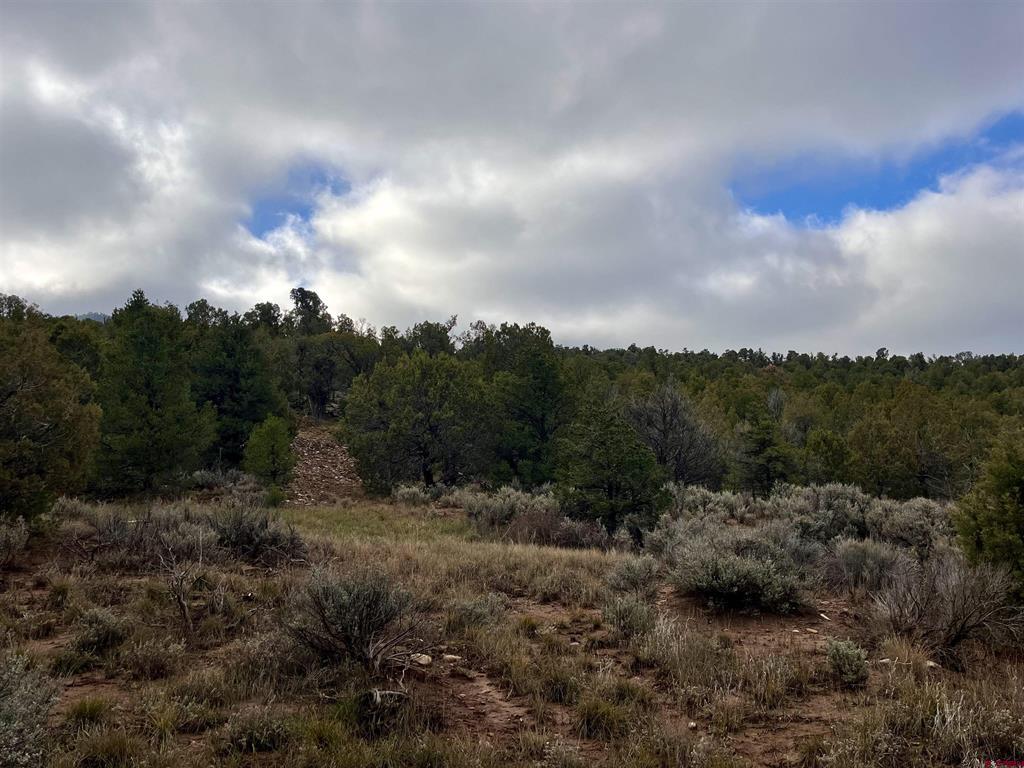 2114 County Road 318