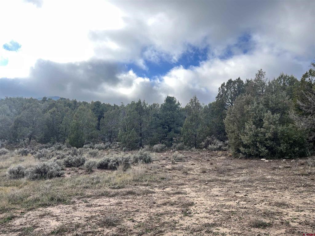 2114 County Road 318