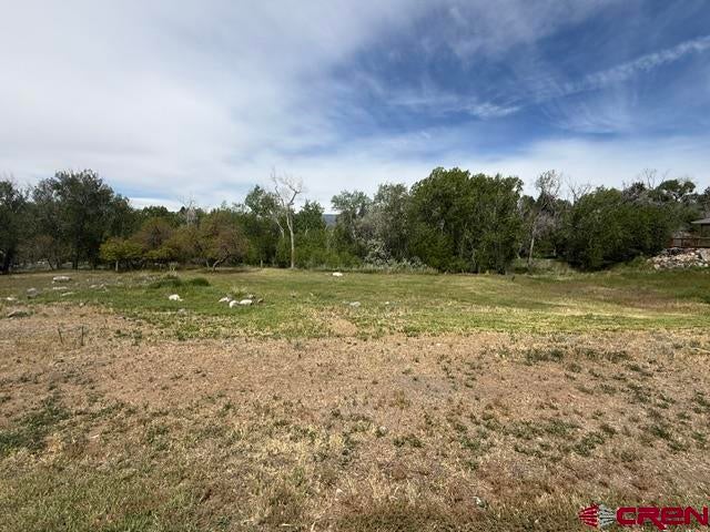 Photo 1 of 1 — 740 SE Stonebridge Drive, Cedaredge, CO 81413