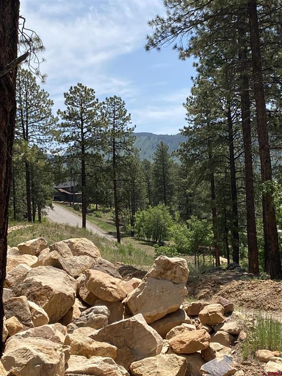 163 BOULDER VIEW Drive