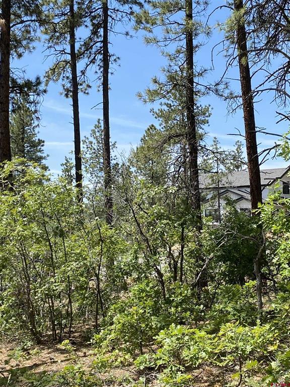 163 BOULDER VIEW Drive