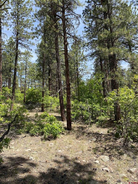 163 BOULDER VIEW Drive