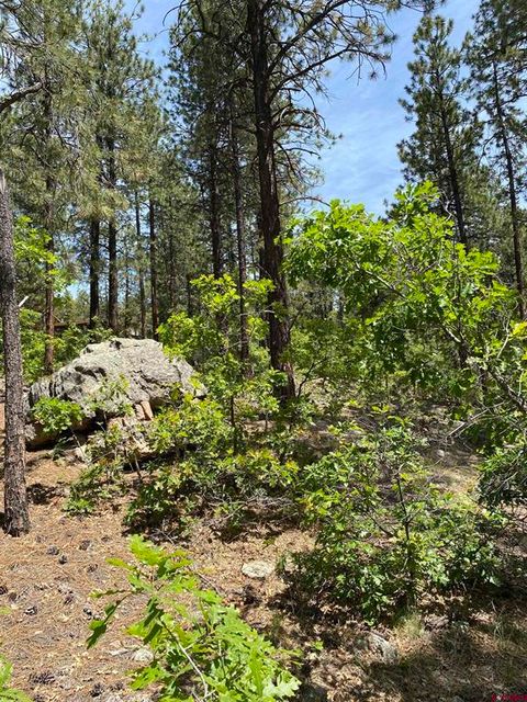 163 BOULDER VIEW Drive Durango CO 81301