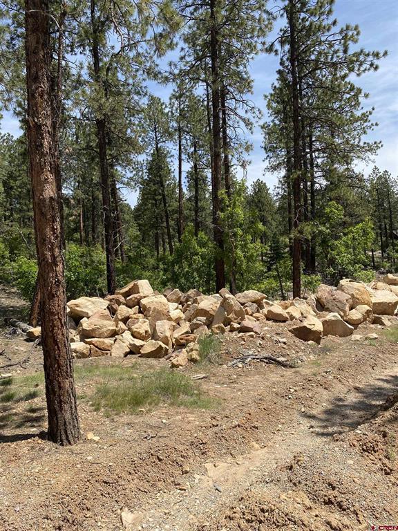 163 BOULDER VIEW Drive