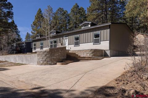 59 Holly Hock Trail Durango CO 81303