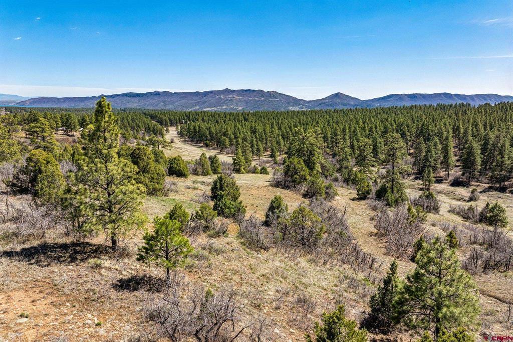 1963 County Road 125