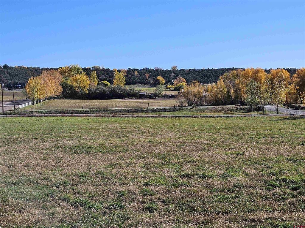 Photo 1 of 9 — 239 Hawks View Dr, Durango, CO 81303