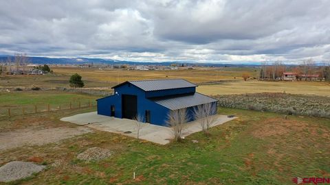 4428 CR 302 Durango CO 81303