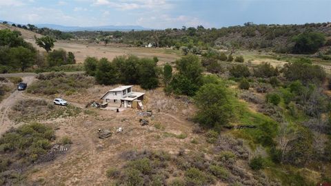 21538 Hamilton Road Eckert CO 81418