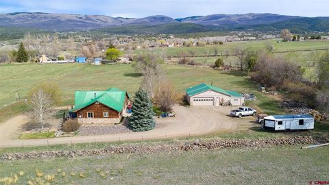 Photo of 19122 2325 Road, Cedaredge, CO 81413 (MLS # 832893)