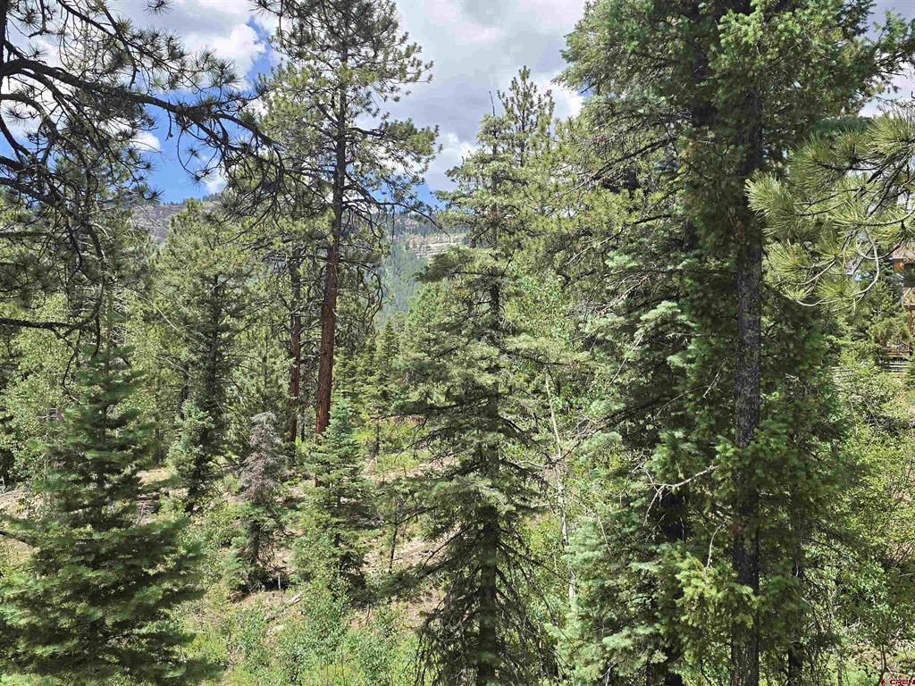 67 Big Pine Trail