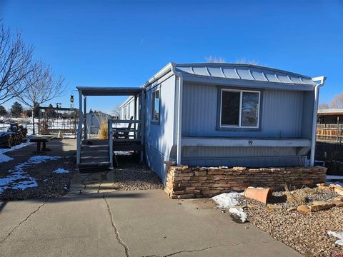 Photo of 99 Montrose Drive, Montrose, CO 81401 (MLS # 831254)
