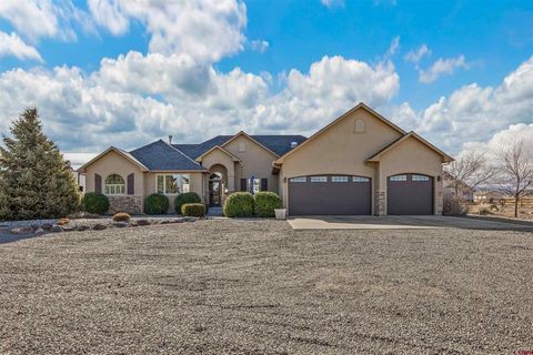 Photo of 9838 5650 Road, Olathe, CO 81425 (MLS # 831769)
