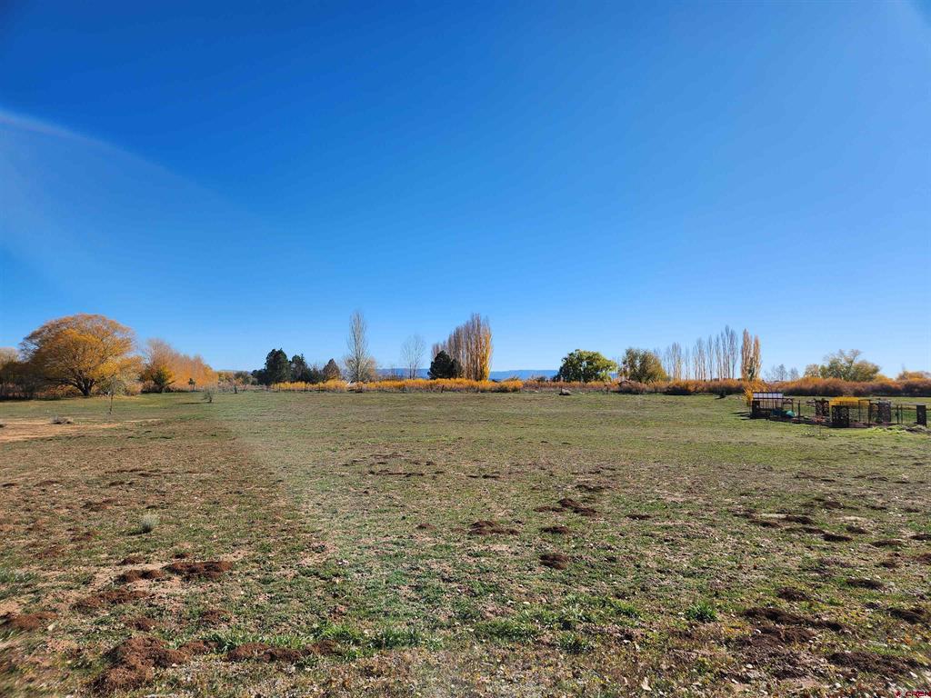 205 Mesa Heights Drive