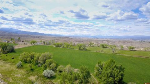 14334 6900 Road Montrose CO 81401