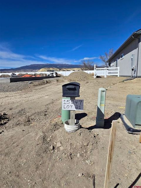 Photo of 15047 Silver Belle Street, Delta, CO 81416 (MLS # 832719)