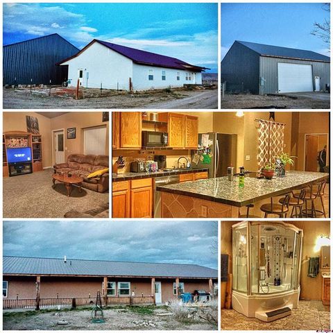 Photo of 8350 2085 Road, Austin, CO 81410 (MLS # 830928)