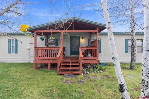 8124 County Road 203 K Durango CO 81301