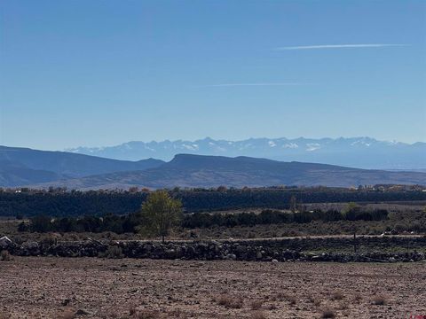 Photo of TBD Stardust Lane, Cedaredge, CO 81413 (MLS # 829636)