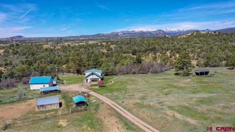 205 Toad Rd Durango CO 81301