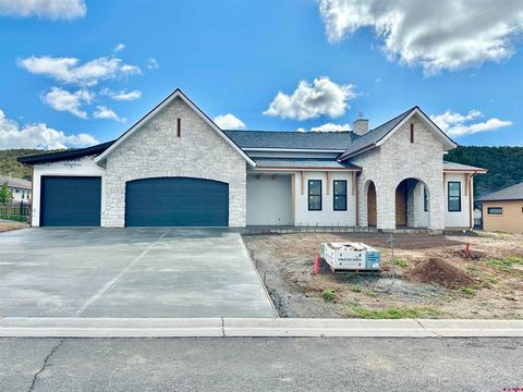 805 SE Pinyon Street Cedaredge CO 81413