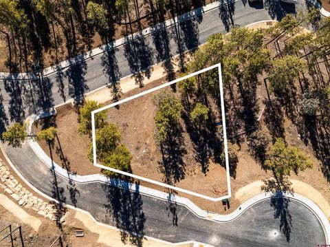 35 Snowdrop Ct. (Lot 141) Durango CO 81301