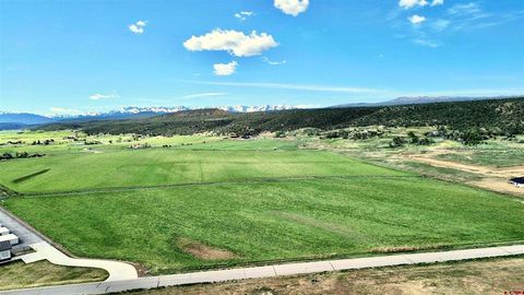 Photo of 2 Vernal Road, Montrose, CO 81403 (MLS # 833693)