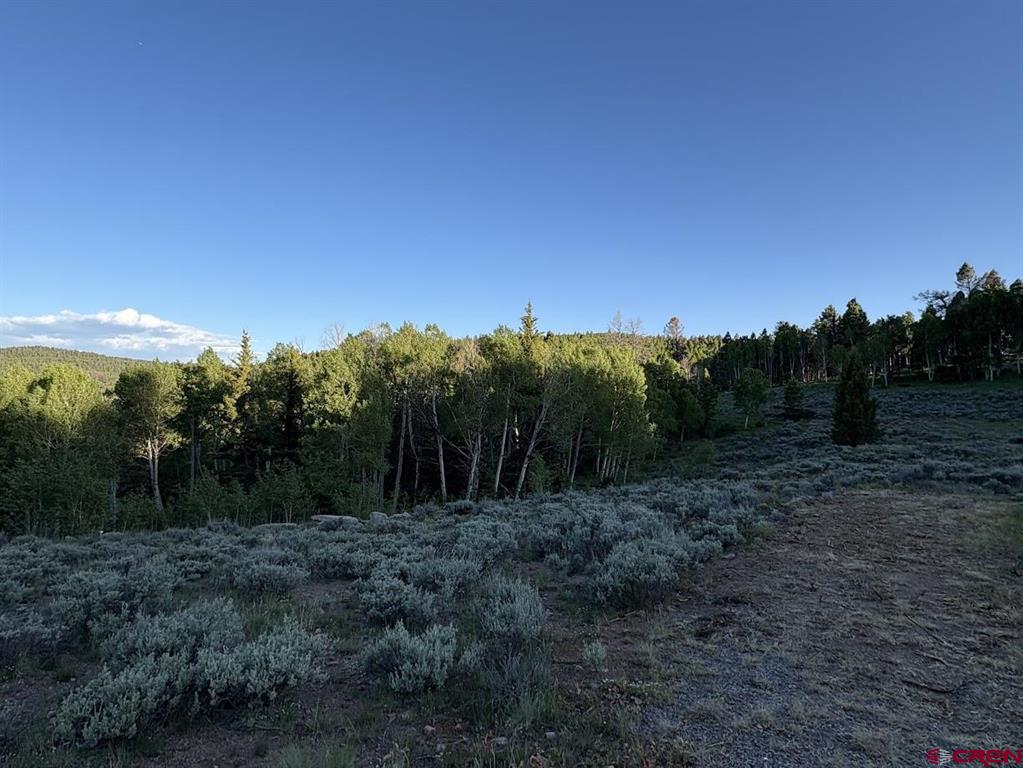 734 Deer Trail