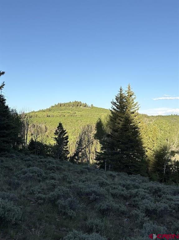 734 Deer Trail