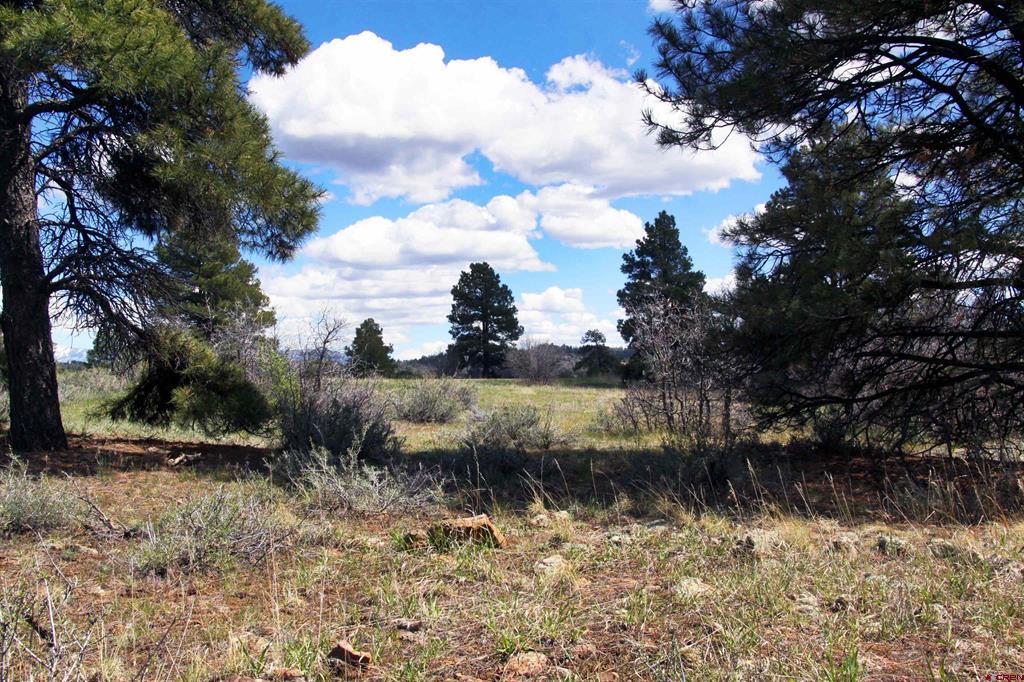 Photo 1 of 44 — 444 Prospect Boulevard, Pagosa Springs, CO 81147