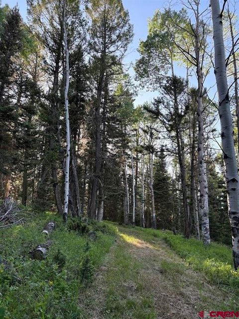 Photo of 459 Ute Drive, Cimarron, CO 81220 (MLS # 834299)