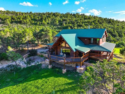 43930 Highway 160 Mancos CO 81328