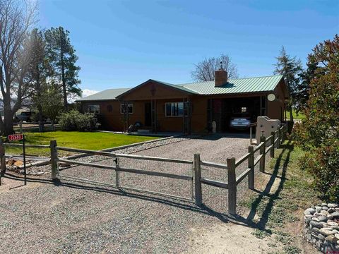Photo of 22680 E Road, Delta, CO 81416 (MLS # 834367)