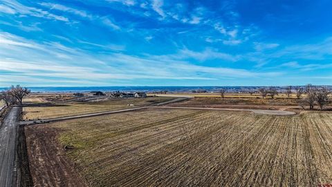 Photo of 7 1580 Road, Delta, CO 81416 (MLS # 830623)