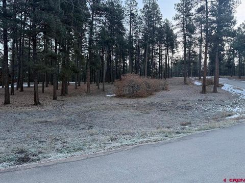 TBD Beaver Creek Drive Bayfield CO 81122