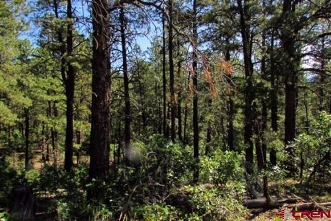 115 S Squaw Canyon Place Pagosa Springs CO 81147