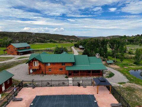 Photo of 93 Highway 92, Crawford, CO 81415 (MLS # 833112)