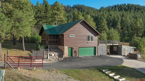 1155 San Juan Drive Pagosa Springs CO 81147