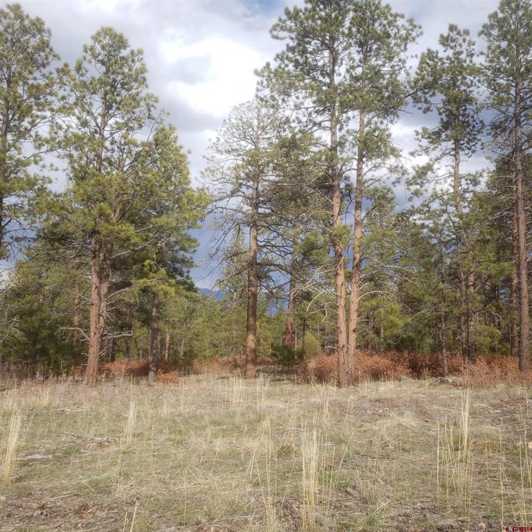 334 Wood Sorrel Lane