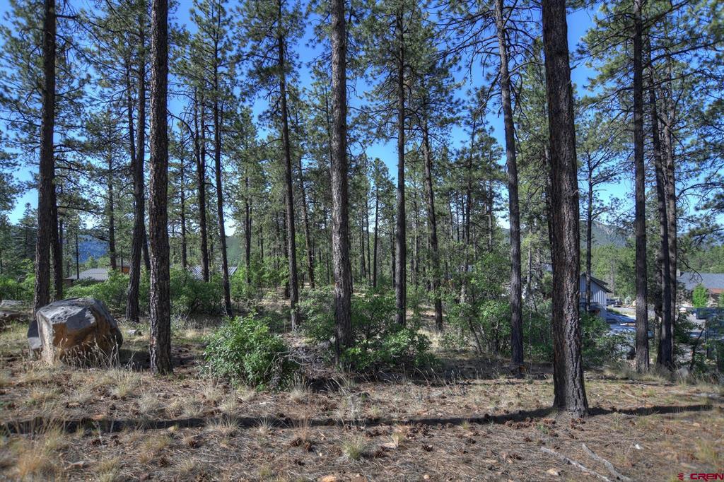 109 Cabin Creek Drive