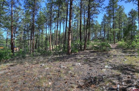 109 Cabin Creek Drive Durango CO 81301